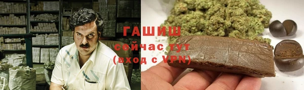 прущие грибы Слюдянка
