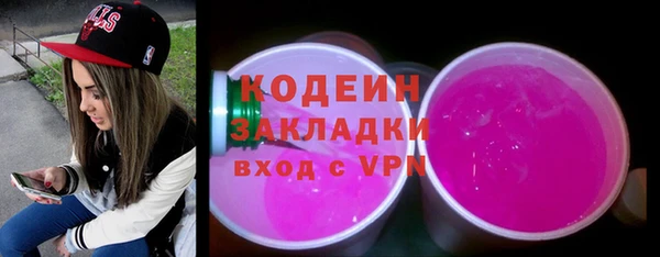 прущие грибы Слюдянка