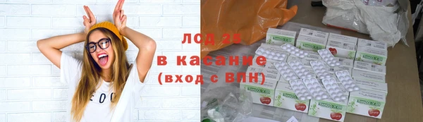 прущие грибы Слюдянка