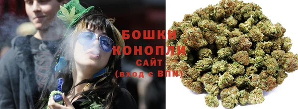 прущие грибы Слюдянка