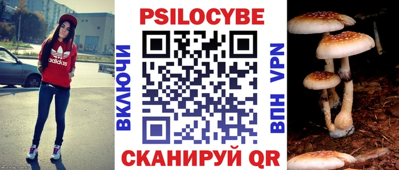 Купить где  Петров Вал  Псилоцибиновые грибы Cubensis 